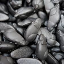 Souris noire réglisse/anis
