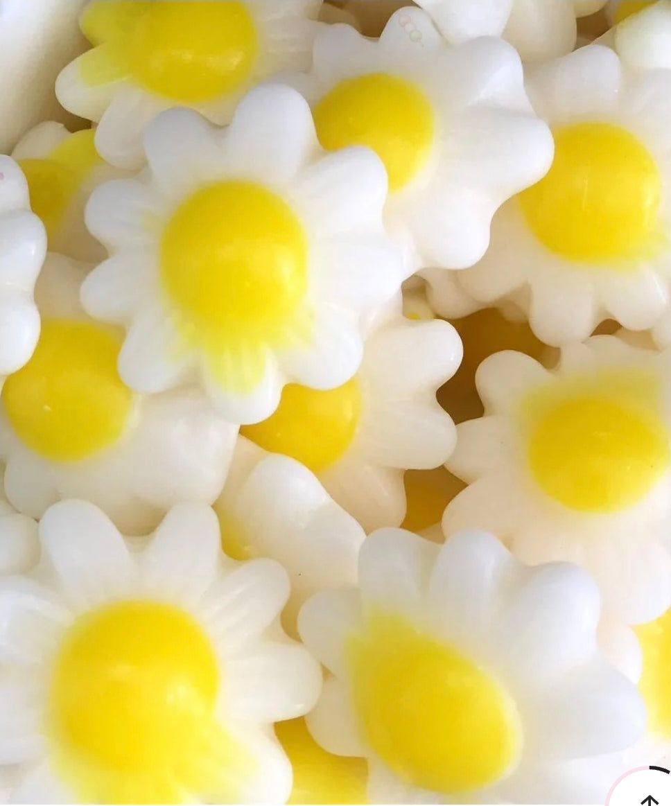 Marguerite LISSE vanille 100g