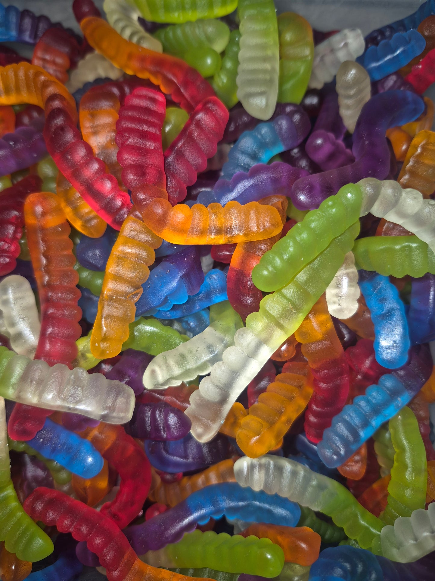Mollo l'asticot 100gr